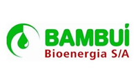 Bambuí Bioenergia S.A.